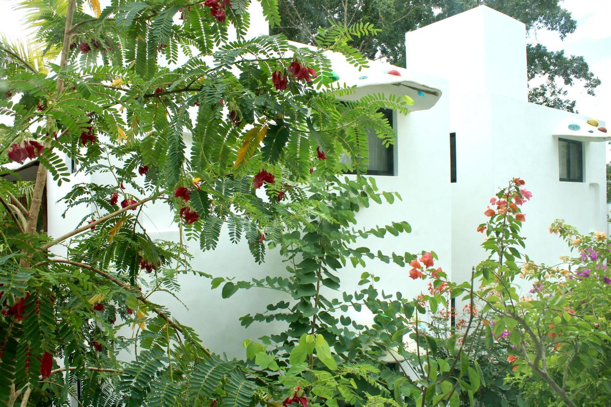 Maison บากาลาร์ ภายนอก รูปภาพ