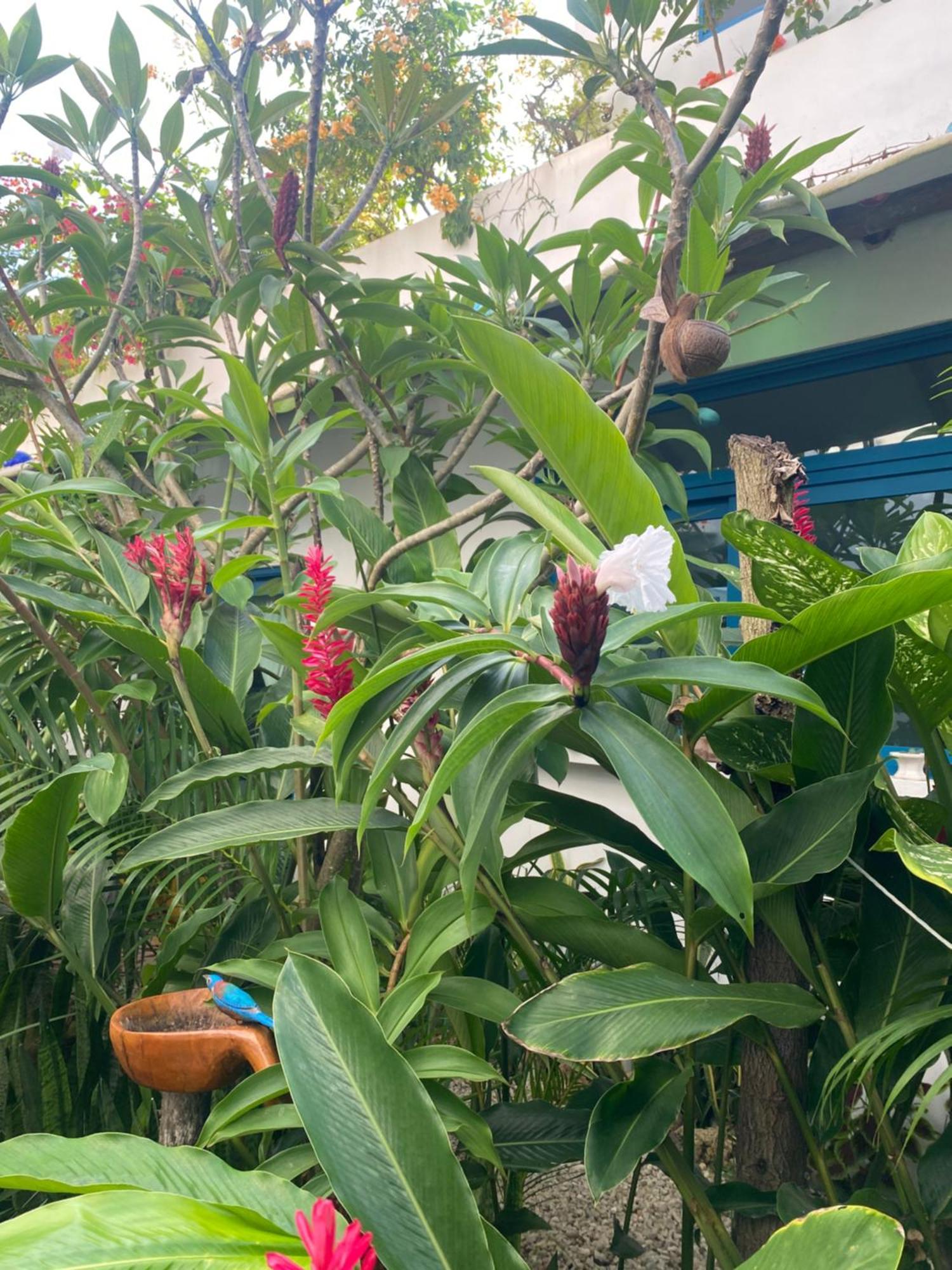 Maison บากาลาร์ ภายนอก รูปภาพ